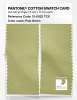 Product image 2 of the product “PANTONE® COTTON SWATCH CARD 13-0522 TCX Pale Green ”