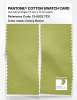 Product image 2 of the product “PANTONE® COTTON SWATCH CARD 13-0532 TCX Celery Green ”