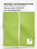 Product image 2 of the product “PANTONE® COTTON SWATCH CARD 13-0535 TCX Sharp Green ”