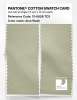 Product image 2 of the product “PANTONE® COTTON SWATCH CARD 13-0608 TCX Aloe Wash ”