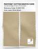 Artikelbild 2 des Artikels “PANTONE® COTTON SWATCH CARD 13-0613 TCX Chino Green “