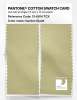 Product image 2 of the product “PANTONE® COTTON SWATCH CARD 13-0614 TCX Garden Glade ”