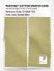 Artikelbild 2 des Artikels “PANTONE® COTTON SWATCH CARD 13-0624 TCX Golden Mist “