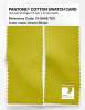 Product image 2 of the product “PANTONE® COTTON SWATCH CARD 13-0648 TCX Green Sheen ”