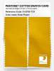 Product image 2 of the product “PANTONE® COTTON SWATCH CARD 13-0759 TCX Solar Power ”