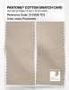 Product image 2 of the product “PANTONE® COTTON SWATCH CARD 13-0908 TCX Parchment ”