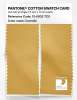 Product image 2 of the product “PANTONE® COTTON SWATCH CARD 13-0932 TCX Cornsilk ”