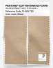 Product image 2 of the product “PANTONE® COTTON SWATCH CARD 13-1016 TCX Wheat ”