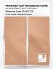 Product image 2 of the product “PANTONE® COTTON SWATCH CARD 13-1017 TCX Almond Cream ”