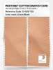 Product image 2 of the product “PANTONE® COTTON SWATCH CARD 13-1019 TCX Cream Blush ”