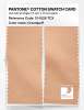Product image 2 of the product “PANTONE® COTTON SWATCH CARD 13-1026 TCX Creampuff ”