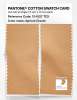 Product image 2 of the product “PANTONE® COTTON SWATCH CARD 13-1027 TCX Apricot Cream ”