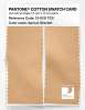 Product image 2 of the product “PANTONE® COTTON SWATCH CARD 13-1031 TCX Apricot Sherbet ”