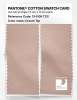 Product image 2 of the product “PANTONE® COTTON SWATCH CARD 13-1108 TCX Cream Tan ”