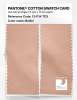 Product image 2 of the product “PANTONE® COTTON SWATCH CARD 13-1114 TCX Bellini ”