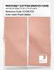 Artikelbild 2 des Artikels “PANTONE® COTTON SWATCH CARD 13-1218 TCX Peach Adobe “