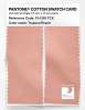 Product image 2 of the product “PANTONE® COTTON SWATCH CARD 13-1318 TCX Tropical Peach ”