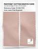 Artikelbild 2 des Artikels “PANTONE® COTTON SWATCH CARD 13-1404 TCX Pale Dogwood “