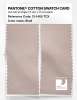 Product image 2 of the product “PANTONE® COTTON SWATCH CARD 13-1405 TCX Shell ”