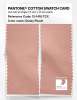 Artikelbild 2 des Artikels “PANTONE® COTTON SWATCH CARD 13-1418 TCX Dusky Peach “