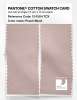 Artikelbild 2 des Artikels “PANTONE® COTTON SWATCH CARD 13-1504 TCX Peach Blush “