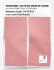 Artikelbild 2 des Artikels “PANTONE® COTTON SWATCH CARD 13-1716 TCX Pale Rosette “