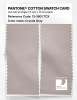 Product image 2 of the product “PANTONE® COTTON SWATCH CARD 13-3801 TCX Crystal Gray ”