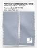 Product image 2 of the product “PANTONE® COTTON SWATCH CARD 13-4111 TCX Plein Air ”