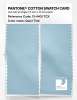 Artikelbild 2 des Artikels “PANTONE® COTTON SWATCH CARD 13-4401 TCX Quiet Tide “