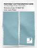 Product image 2 of the product “PANTONE® COTTON SWATCH CARD 13-4809 TCX Plume ”