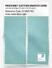 Product image 2 of the product “PANTONE® COTTON SWATCH CARD 13-4909 TCX Blue Light ”