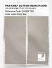 Product image 2 of the product “PANTONE® COTTON SWATCH CARD 13-5304 TCX Rainy Day ”