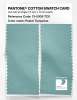 Product image 2 of the product “PANTONE® COTTON SWATCH CARD 13-5309 TCX Pastel Turquoise ”