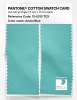 Artikelbild 2 des Artikels “PANTONE® COTTON SWATCH CARD 13-5313 TCX Aruba Blue “