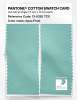 Artikelbild 2 des Artikels “PANTONE® COTTON SWATCH CARD 13-5320 TCX Aqua Frost “