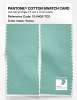 Product image 2 of the product “PANTONE® COTTON SWATCH CARD 13-5409 TCX Yucca ”