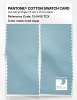 Artikelbild 2 des Artikels “PANTONE® COTTON SWATCH CARD 13-5410 TCX Iced Aqua “
