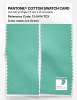 Artikelbild 2 des Artikels “PANTONE® COTTON SWATCH CARD 13-5414 TCX Ice Green “