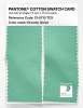 Artikelbild 2 des Artikels “PANTONE® COTTON SWATCH CARD 13-5710 TCX Dreamy Green “