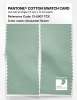 Product image 2 of the product “PANTONE® COTTON SWATCH CARD 13-5907 TCX Gossamer Green ”