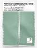 Artikelbild 2 des Artikels “PANTONE® COTTON SWATCH CARD 13-5911 TCX Bird's Egg Green “