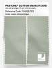 Product image 2 of the product “PANTONE® COTTON SWATCH CARD 13-6006 TCX Almost Aqua ”