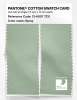 Product image 2 of the product “PANTONE® COTTON SWATCH CARD 13-6007 TCX Spray ”