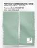 Product image 2 of the product “PANTONE® COTTON SWATCH CARD 13-6008 TCX Misty Jade ”