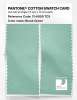 Artikelbild 2 des Artikels “PANTONE® COTTON SWATCH CARD 13-6009 TCX Brook Green “