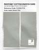 Product image 2 of the product “PANTONE® COTTON SWATCH CARD 13-6106 TCX Green Tint ”