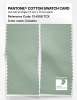 Artikelbild 2 des Artikels “PANTONE® COTTON SWATCH CARD 13-6108 TCX Celadon “