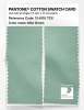 Artikelbild 2 des Artikels “PANTONE® COTTON SWATCH CARD 13-6110 TCX Mist Green “