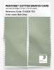 Product image 2 of the product “PANTONE® COTTON SWATCH CARD 13-6208 TCX Bok Choy ”