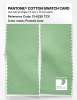 Artikelbild 2 des Artikels “PANTONE® COTTON SWATCH CARD 13-6226 TCX Frosted Lime “
